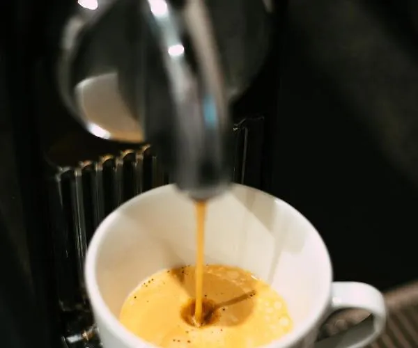 דירה Revliving *